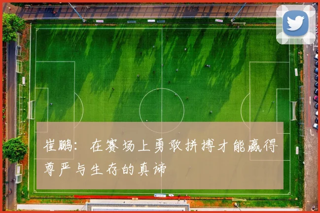 崔鹏：在赛场上勇敢拼搏才能赢得尊严与生存的真谛