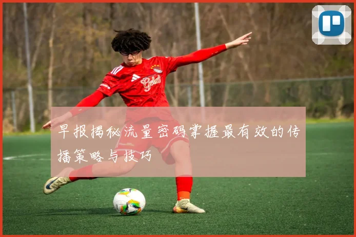 早报揭秘流量密码掌握最有效的传播策略与技巧