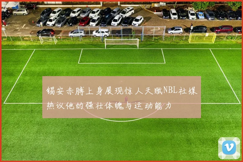 锡安赤膊上身展现惊人天赋NBL社媒热议他的强壮体魄与运动能力